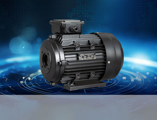 什么是变频电机？它有什么特点？